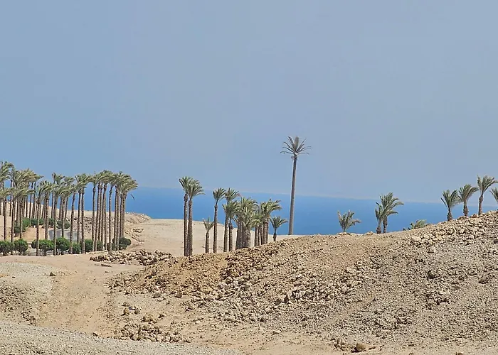 Apartment Bay View, Sahl Hashish